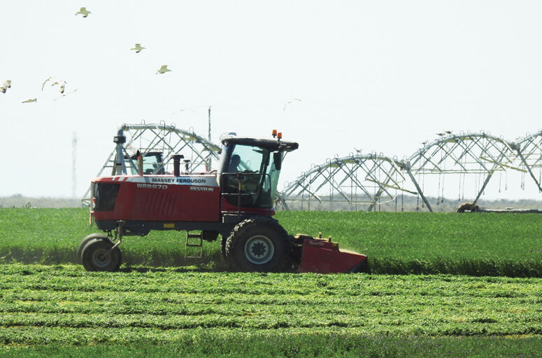 Farmer